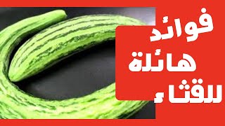 فوائد هائلة لل الأتة  القثاء منها انها تساعد في علاج السكر