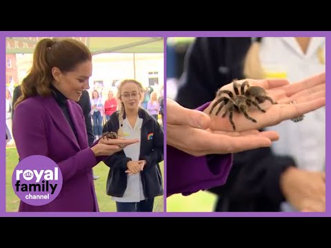 Kate Middleton is Fascinated by this SPIDER 🕷️