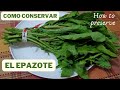 Cómo conservar el epazote  /  How to preserve epazote