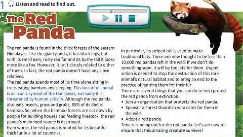 The Red Panda (Text) Excel 8 Module 6