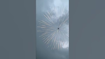 12 inch shell (300mm shell) brocade Fireworks