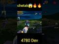 horse ❌   chetak ✅