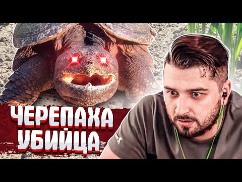 видео: HARD PLAY СМОТРИТ ТЕМНАЯ СТОРОНА 14 МИНУТ СМЕХА ЛУЧШИЕ ПРИКОЛЫ МАЙ 2020