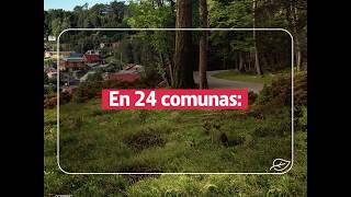 Programa Prevención de Incendios Forestales en Zonas de Interfaz, Región del Biobío