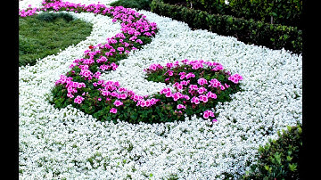 تلاوة خاشعة من سورة الشورى محمد اللحيدان ( استجيبوا لربكم من قبل )