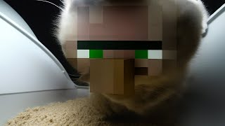 Minecraft Villager Chipi Chipi Chapa Chapa