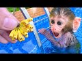 Monkey Baby Bon Bon harvests bananas in the farm and swims with rainbow balloons in the pool