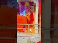 #gorkhnathji #bolenath_ #jaimatadi #hanuman #jaigaumata #mandir #busan #viralvideo #tarding #yotube