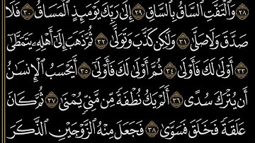 سورة القيامة من الأية ٢٥ إلي ٤٠ - الشيخ المنشاوي - المصحف المعلم