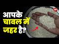 चावल में कैंसर पैदा करने वाला Arsenic? Can Genome Editing Save India's Rice Exports?