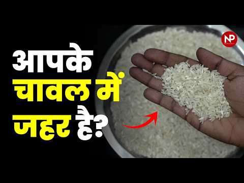 चावल में कैंसर पैदा करने वाला Arsenic? Can Genome Editing Save India's Rice Exports?