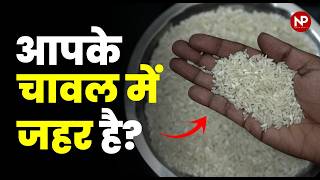 चावल में कैंसर पैदा करने वाला Arsenic? Can Genome Editing Save India's Rice Exports?
