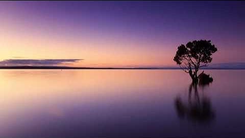 045-سورة الجاثية-ناصر القطامي