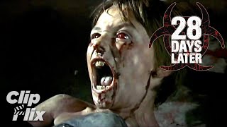 28 Days Later 712 Cillian Murphy, Naomie Harris Clipflix Thailand