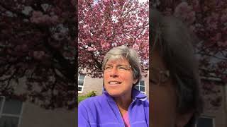 Reflection for Wednesday of the Second Week of Easter