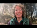 A Trauma-Informed Approach to the Satipatthana Sutta