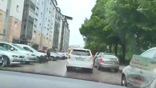 Susi fährt zum Tierarzt