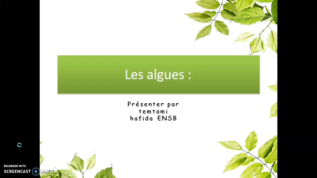 les algues partie 01: organisation de l’appareil végétative des algues + les types des thalles
