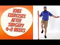 High Level Exercises Weeks 4-8 - Total Knee Replacement