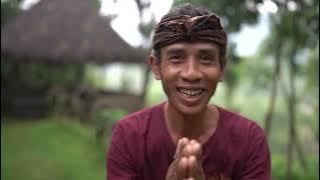 Mental Health Placement Think Pacific's New Placement in Bali 2/2