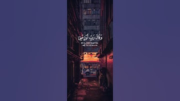 {وَقالَ رَبِّ أَوْزِعْنِي أَنْ أَشْكُرَ نِعْمَتَكَ}|  القارئ إسلام صبحي|صوت يريح النفس 😔💔🌿