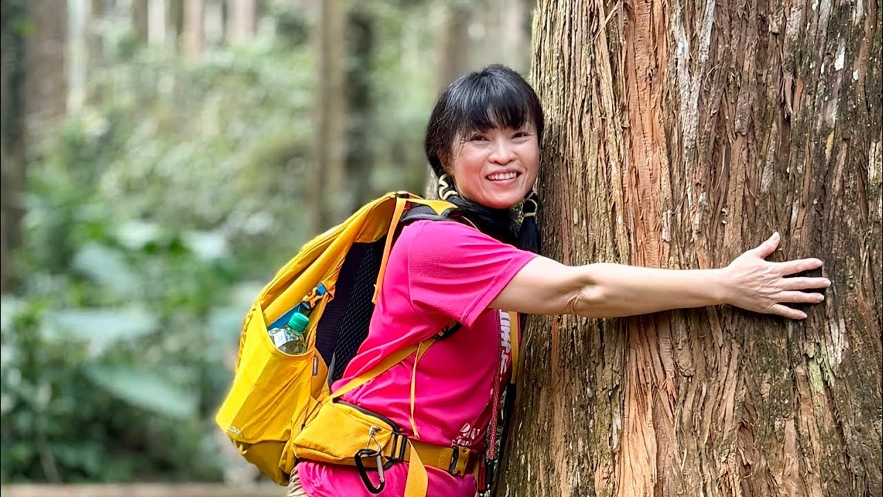 溪頭教育園區一日遊2026/3/2