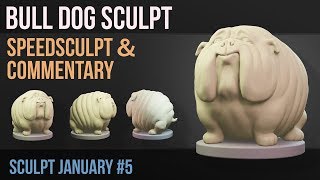 Bulldog Sculpt | Sculpt Jan 2019 | no 5 - Spherical
