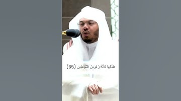 أذلك خير نزلا أم شجرة الزقوم... تلاوة خاشعة ومميزة من سورة الصافات للشيخ ياسر الدوسري