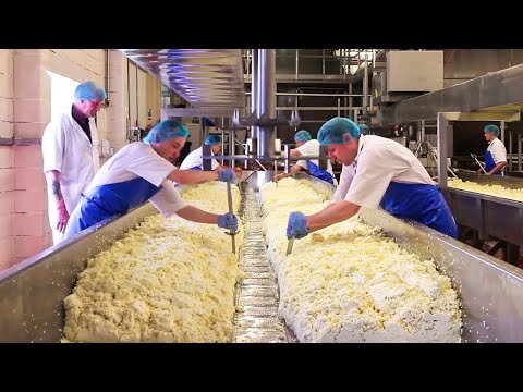 شاهد كيف يتم تصنيع الجبن داخل المصانع العملاقة , مشاهد مذهلة ستراها لاول مرة