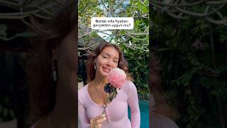 Balide Villa Kiralamak Hakkındaki Gerçekler