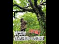 【前編】奥尻観光を本気で考えた〜安藤誠さん特別講演〜