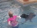 brandy being thrown in the pool