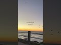 Chasing sunsets at La Jolla beach! #sunset #views #beach #lajolla #california #nature #peace