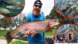SHOCKING NEW 15 lbs PET TROUT (not photoshoped!!!) - 100's Stocked in My Backyard Trout Fish Pond!