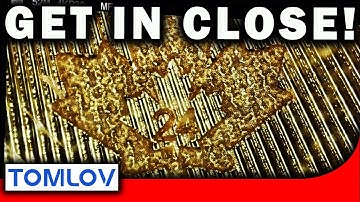 The Ultimate Way To View Your Coins Up Close! TOMLOV 4K Autofocus Microscope Review