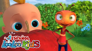 Las Hormiguitas van Marchando 🫡 Videos Educativos para Niños: Canciones Infantiles - LooLoo Kids by Canciones Infantiles Con Amigos 39,726 views 4 days ago 1 hour, 5 minutes