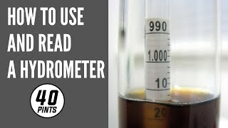 How to use and read a hydrometer for beer or home brew .