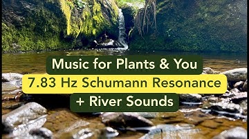 7.83 Hz Schumann Resonance Healing Music for Plants & You 🌱 Pure Tone with River Sounds