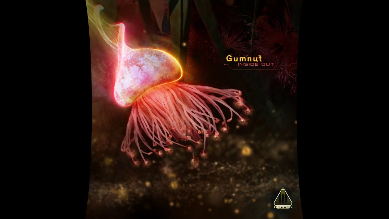 Gumnut - Inside Out