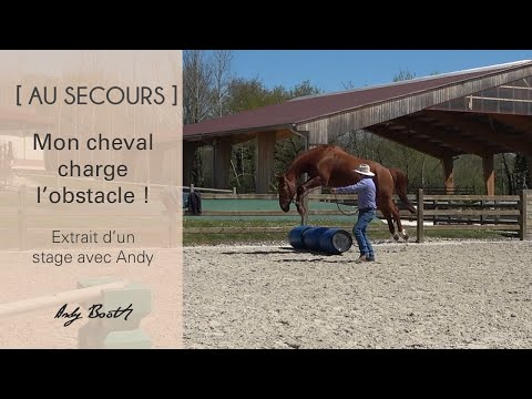 Char Militaire Français AMX 13 Avec Missiles SS11 - Maquette Solido 1:50 En Métal, Occasion, Collection Blindés