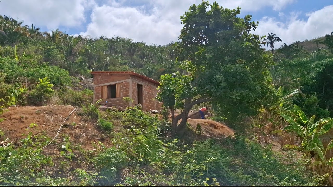 Gratidão🙏🙏#sitio  # vida na roça 