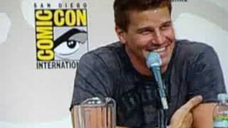 Comic-Con 2008 - Bones Panel - Part 4 - Relationship