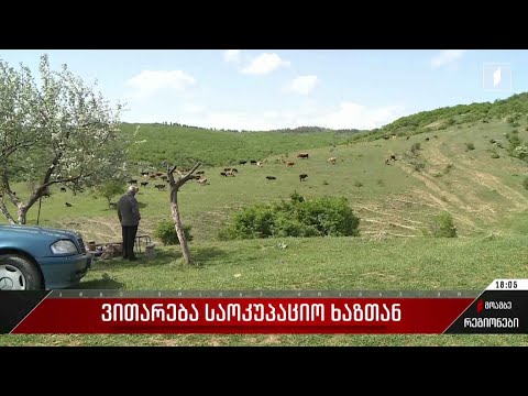 ვითარება საოკუპაციო ხაზთან