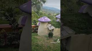 Pitufos en Xilitla!