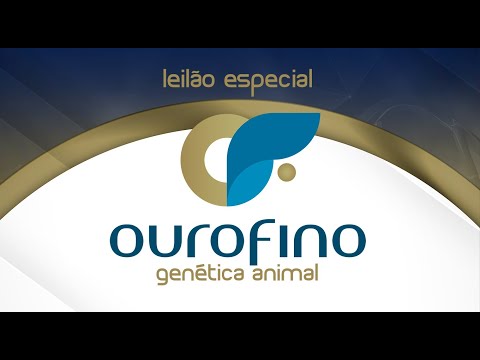 Lote 36 (Cheetara Ourofino - OURO 3554)