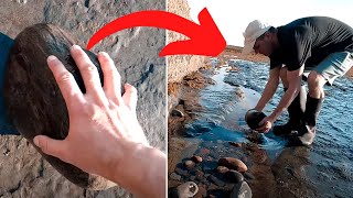 Fossil Hunter Discovers Ammonite in Large Pyrite Rock