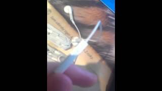 IMG 0452