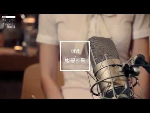 251Project - 벚꽃엔딩(cherry blossom ending) covered by 비밥(Bebop)