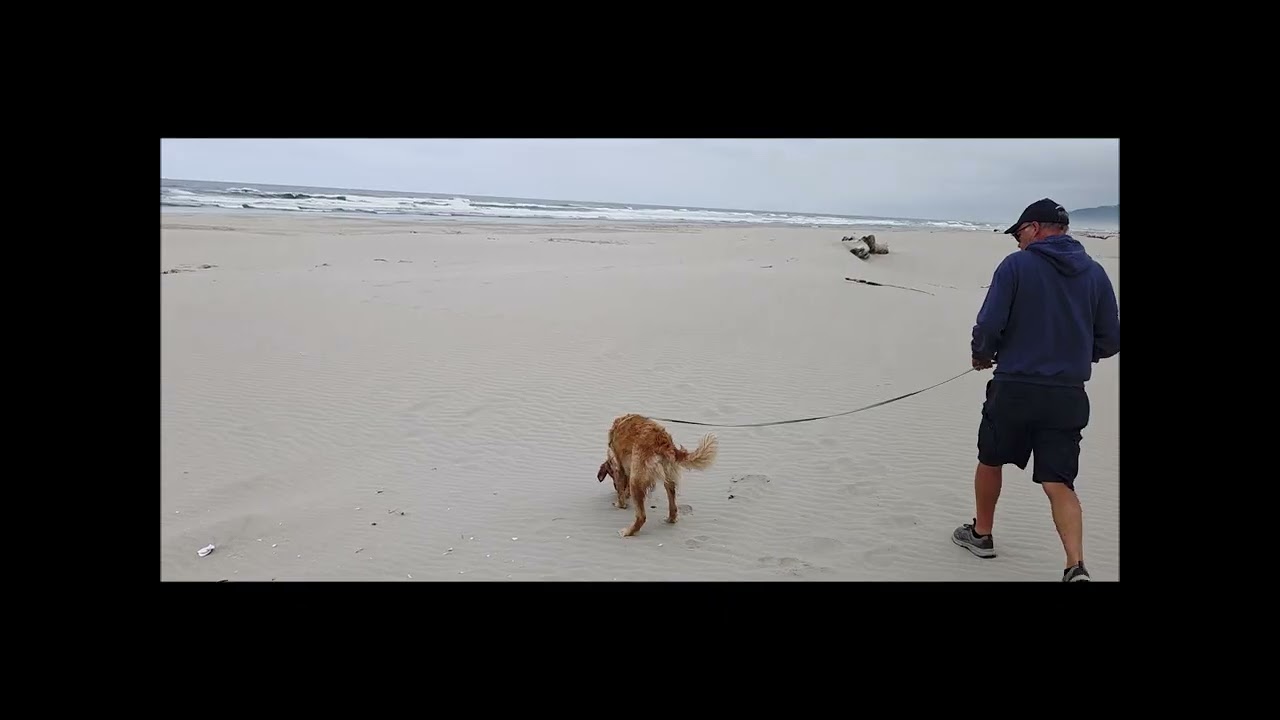 Camping Trip at the Coast