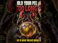 What Holding Your Pee Too Long Actually Does To Your Body #uti #bladderhealth